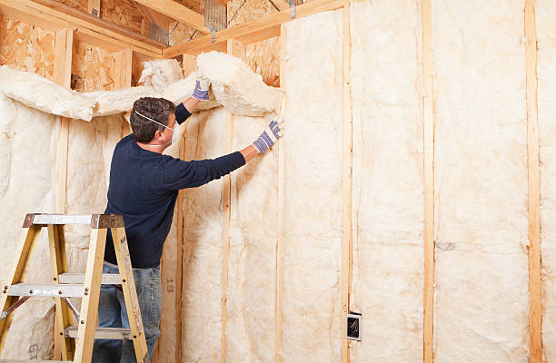 Best Wall Insulation Installation in USA